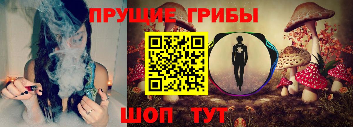 Галлюциногенные грибы GOLDEN TEACHER  Вход с VPN  Нижнекамск 